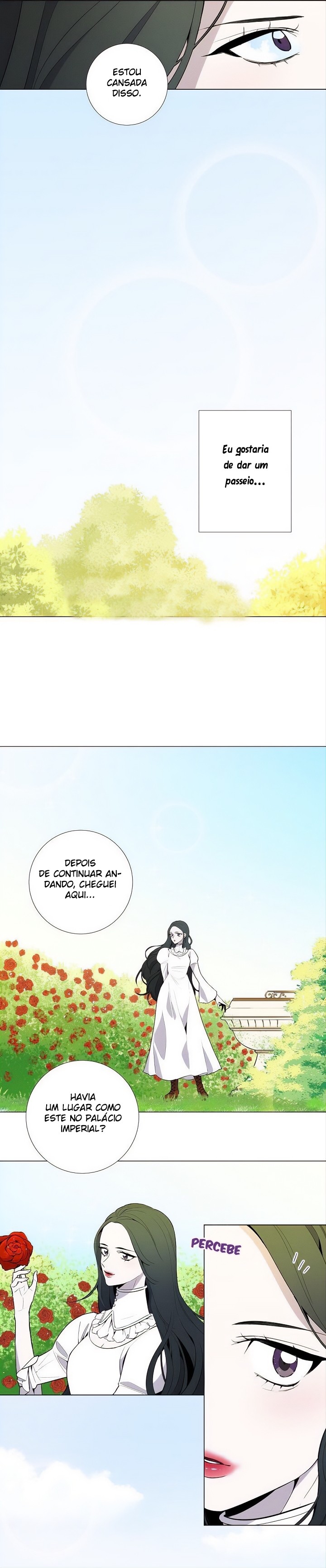 Cap 3 página 21