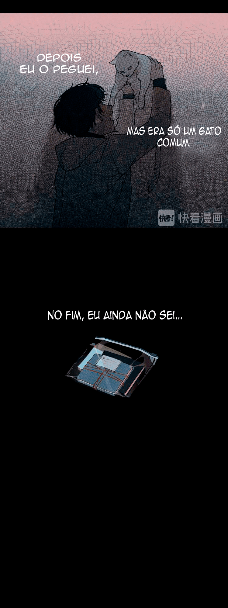 Cap 4 página 22