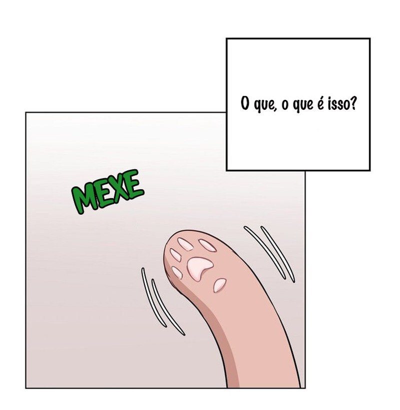 Cap 1 página 36