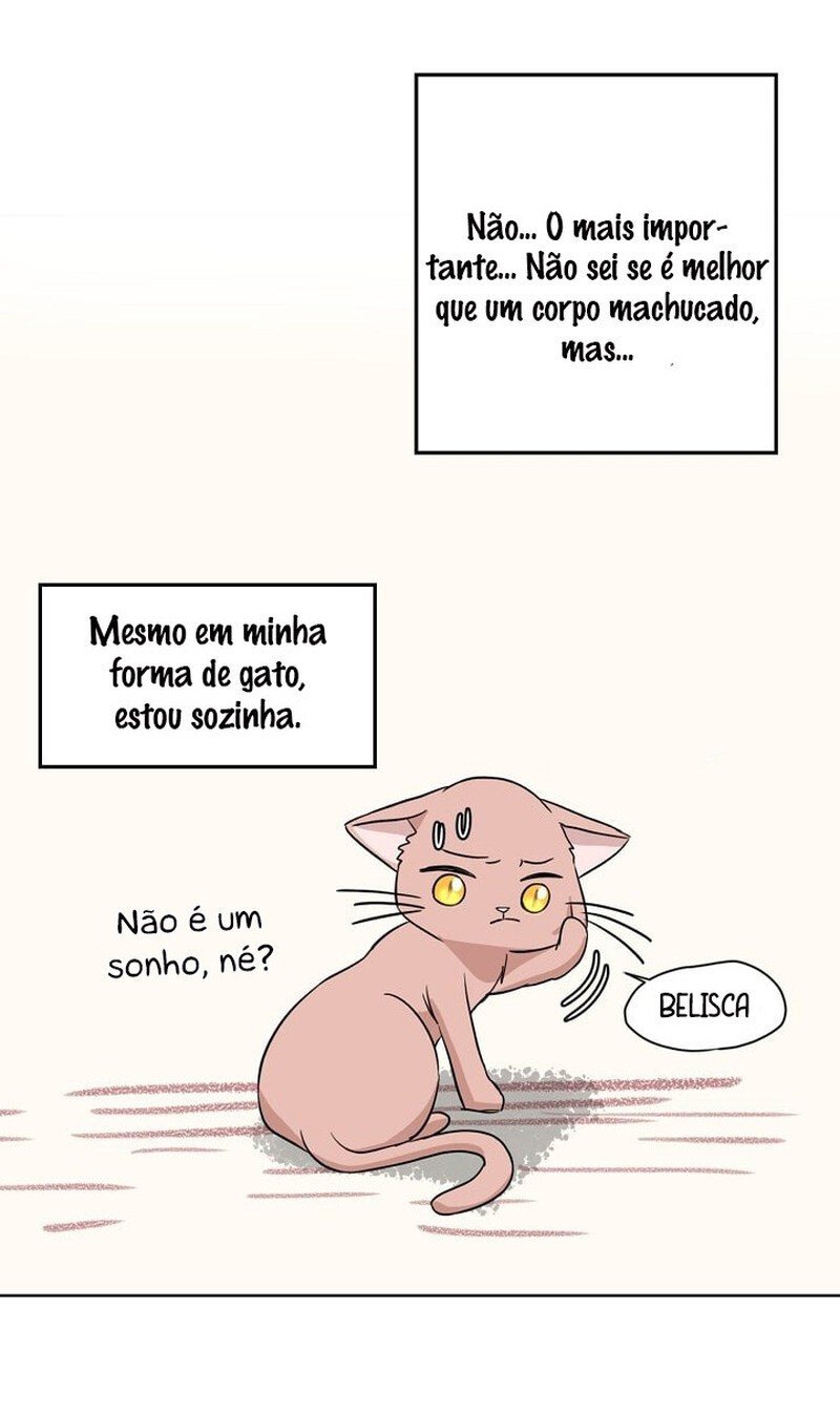 Cap 1 página 38