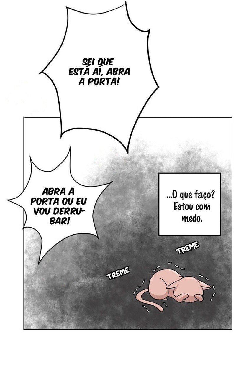 Cap 1 página 41
