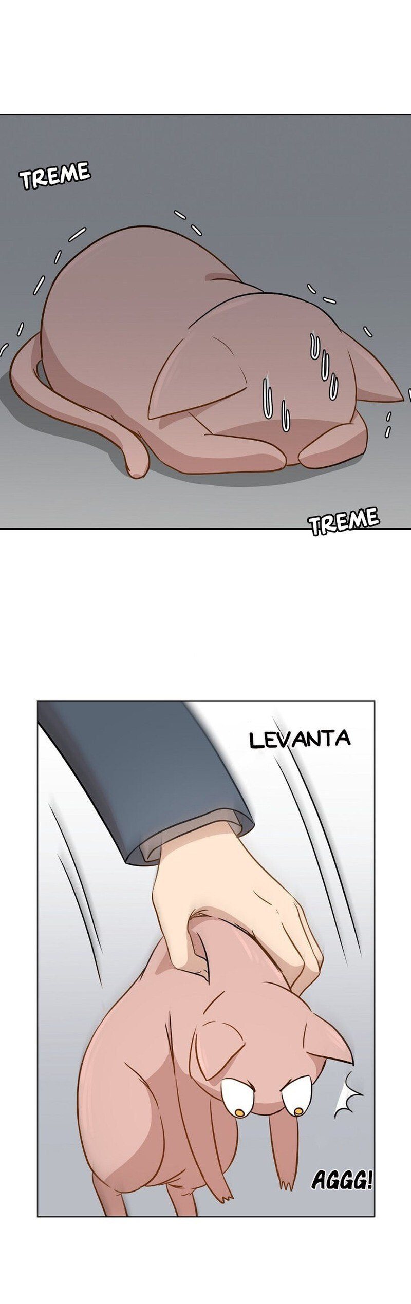 Cap 1 página 47