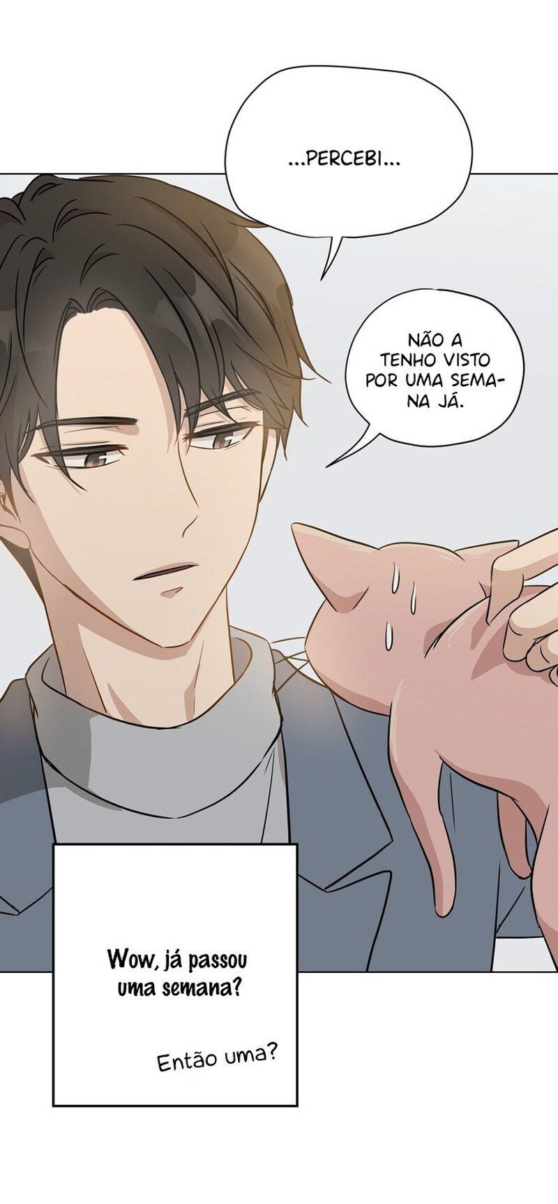 Cap 1 página 49