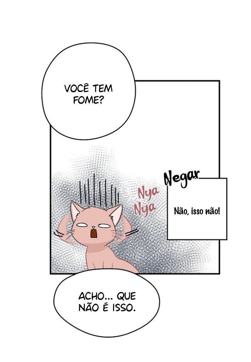 Cap 3 página 13