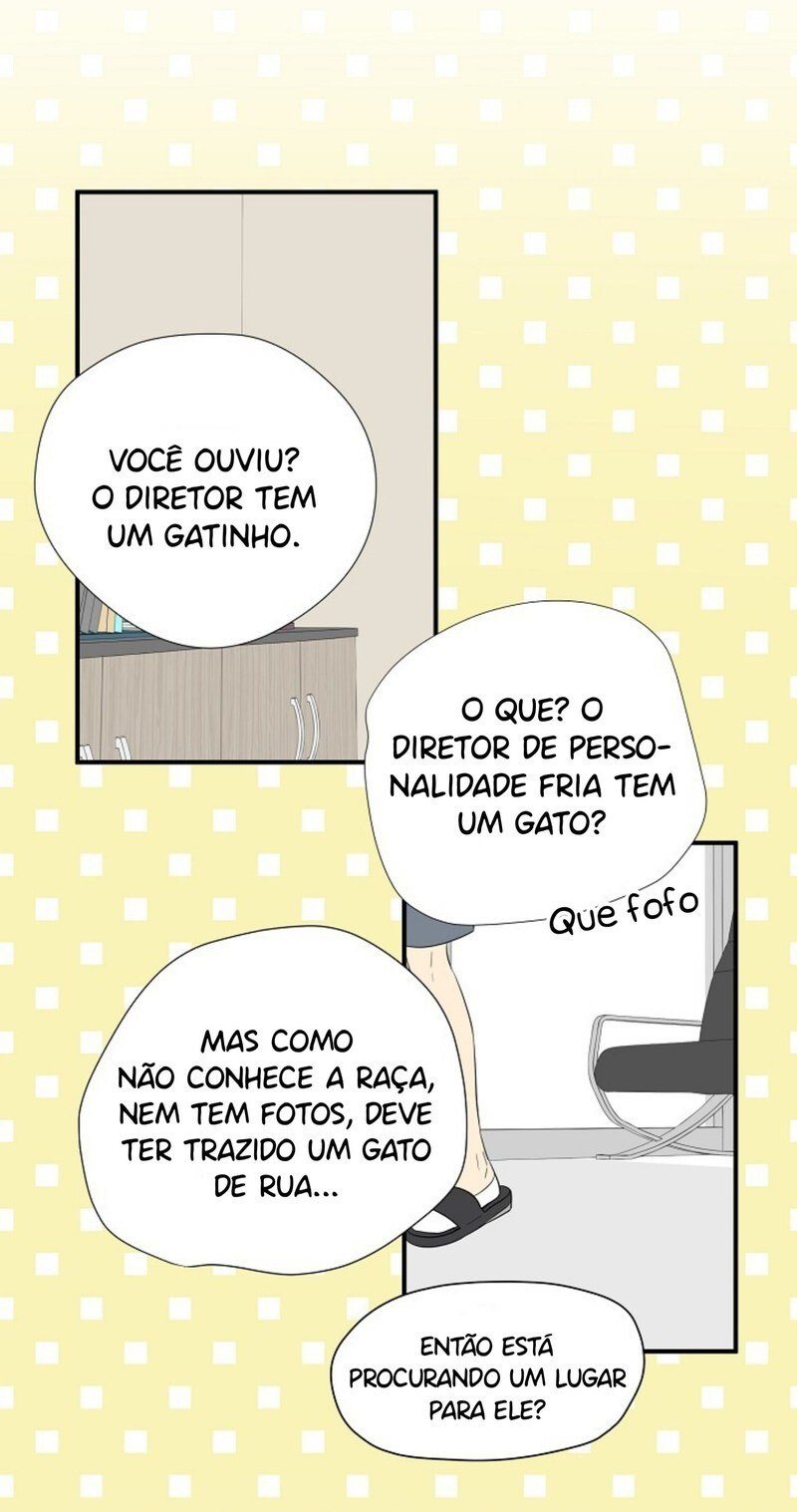 Cap 3 página 28