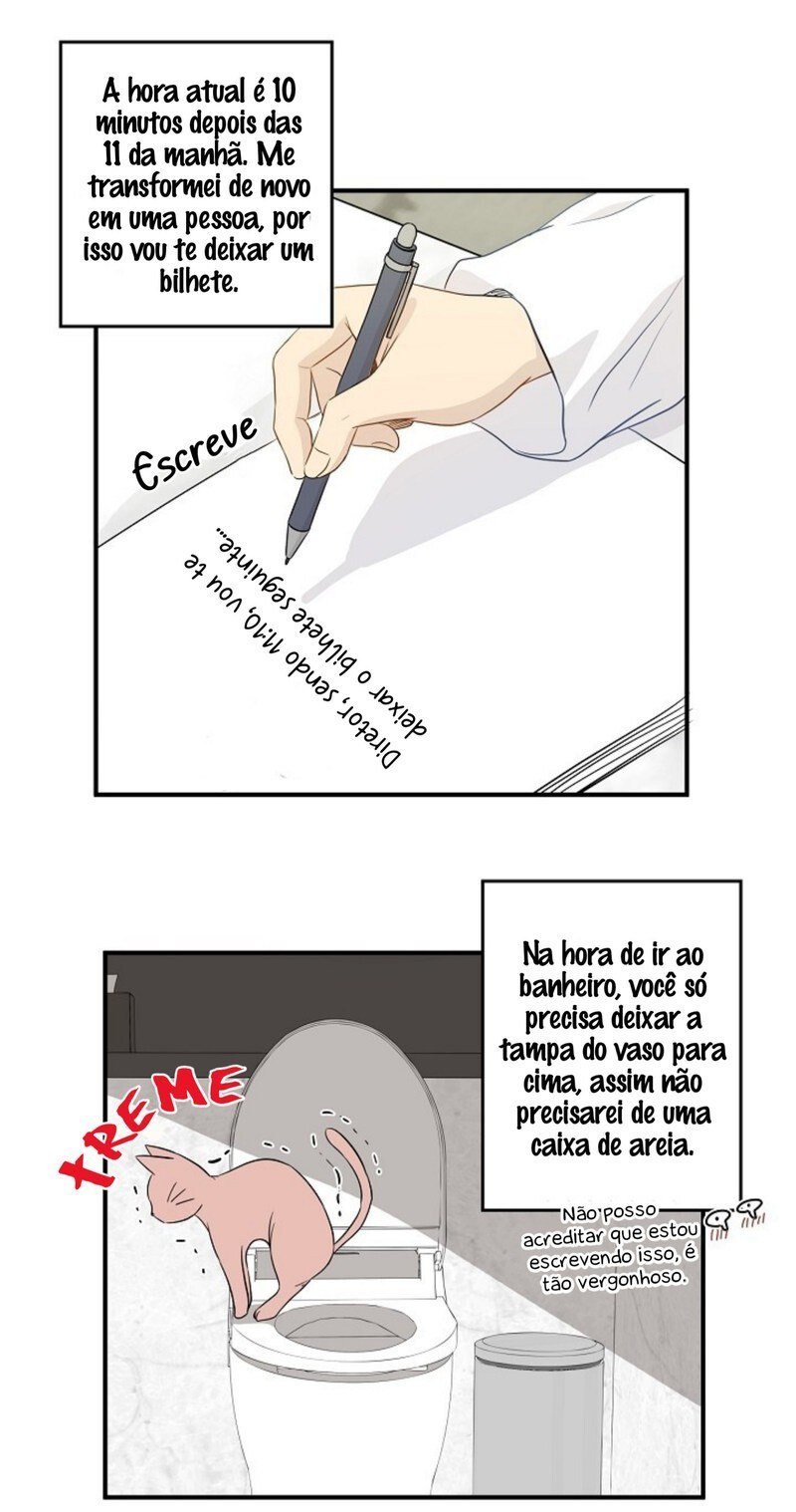 Cap 3 página 35