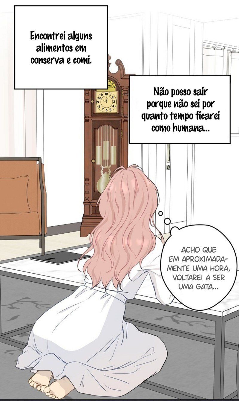 Cap 3 página 36