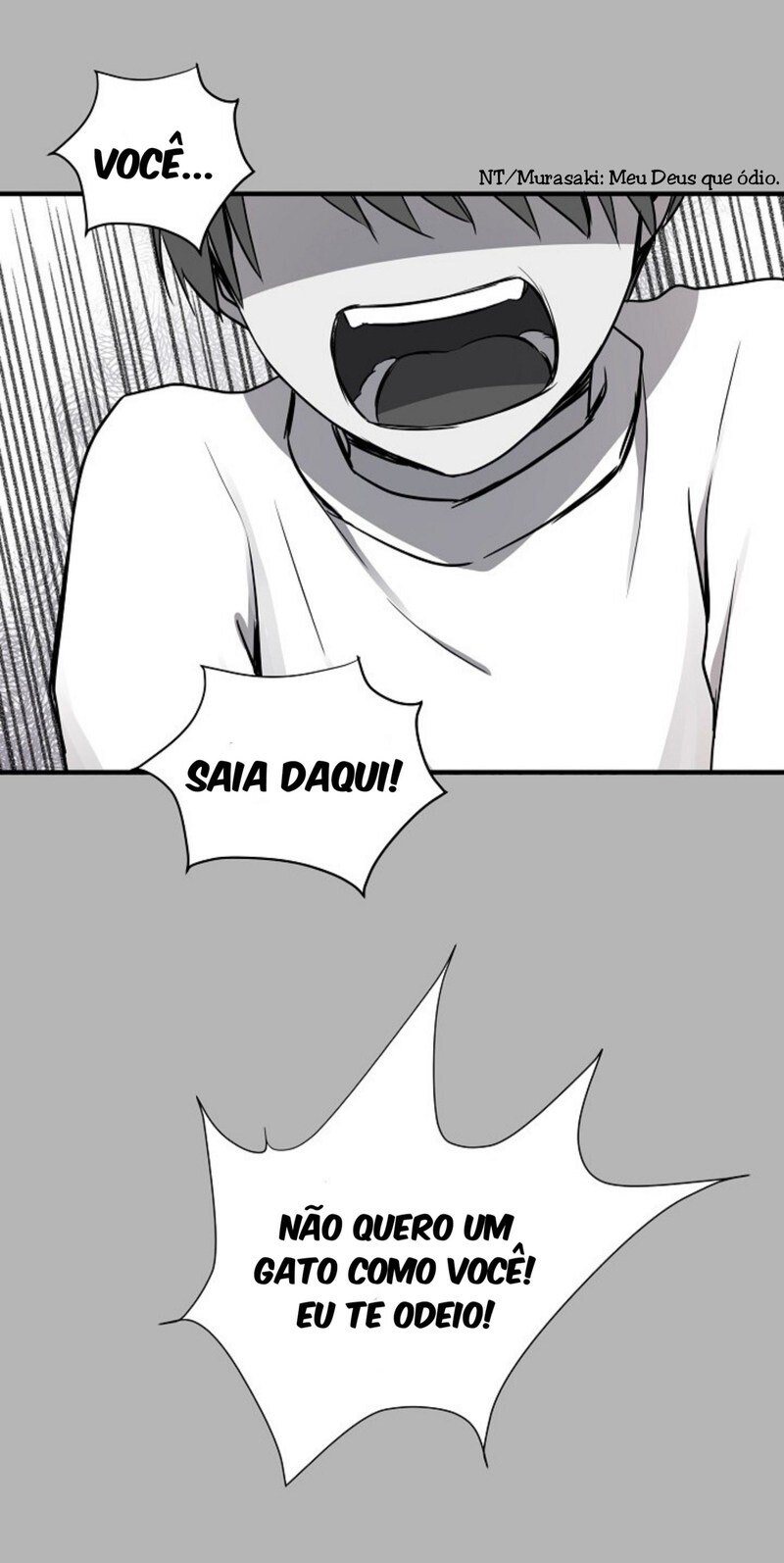 Cap 4 página 11