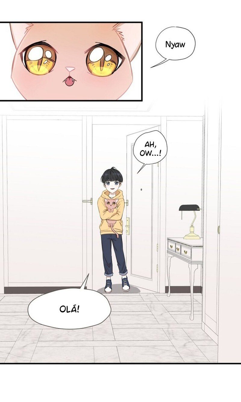 Cap 4 página 52