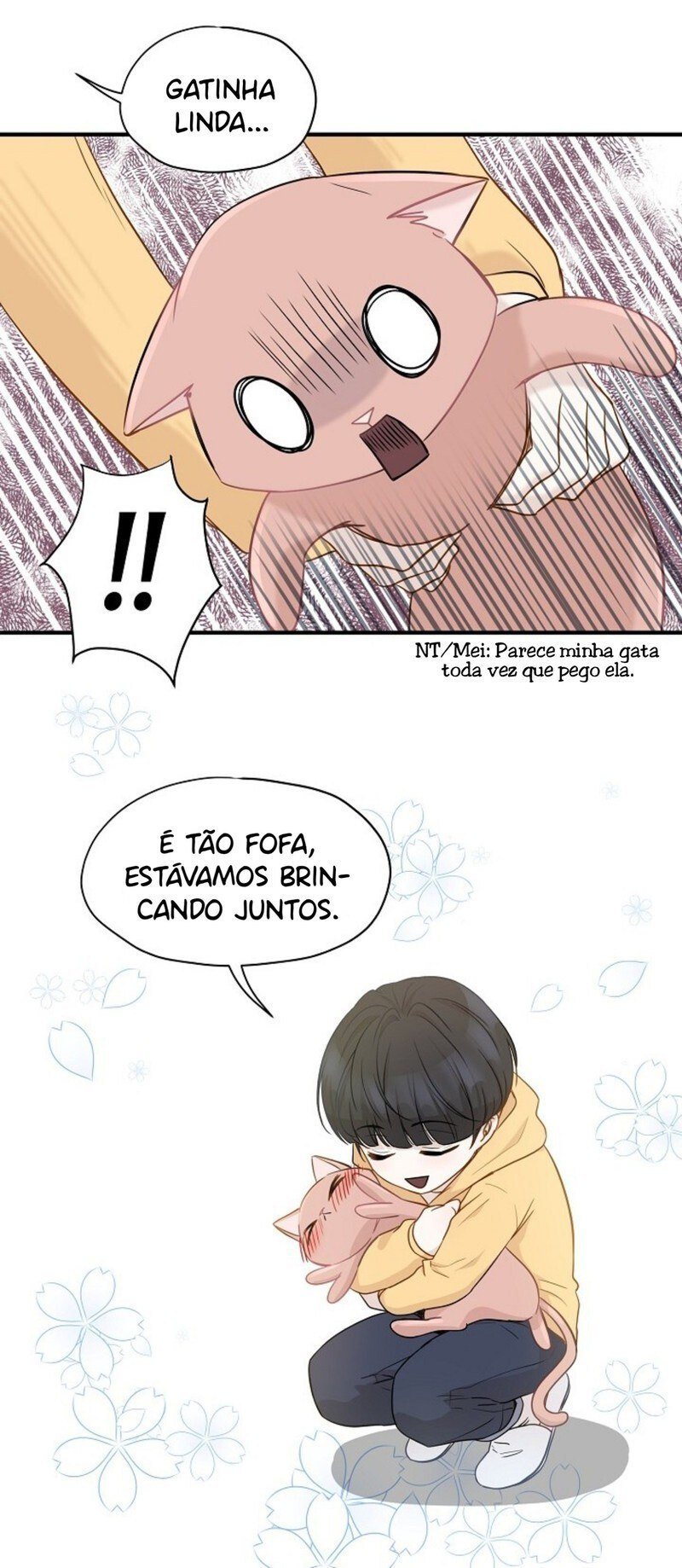 Cap 5 página 31