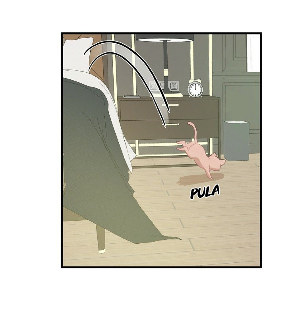 Cap 8 página 55