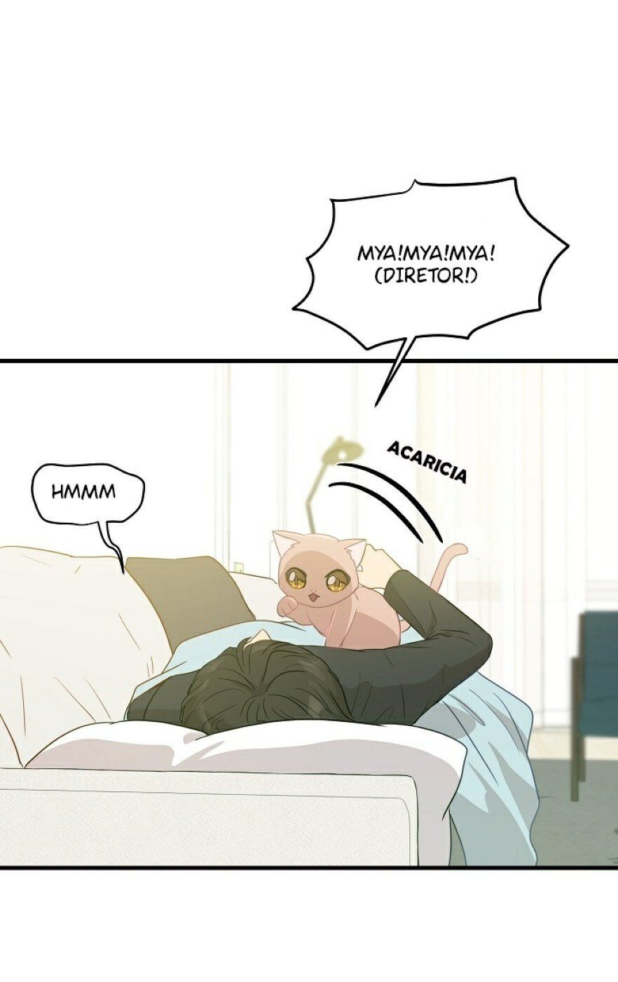 Cap 8 página 66