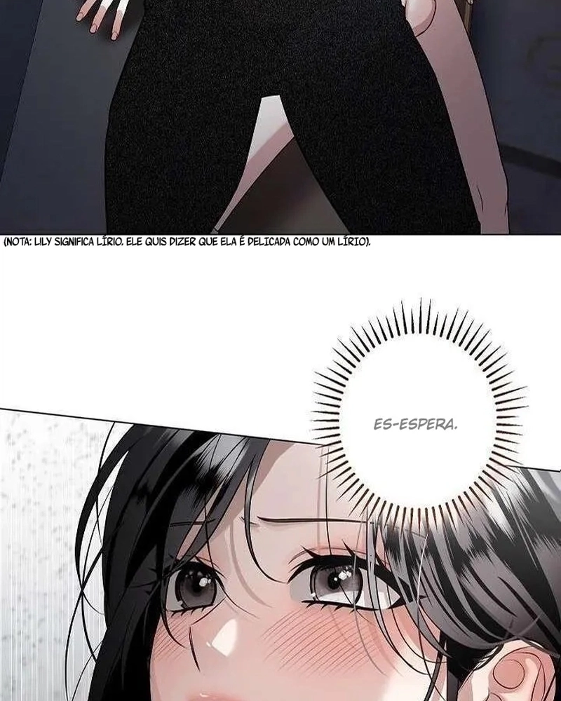 Cap 6 página 46