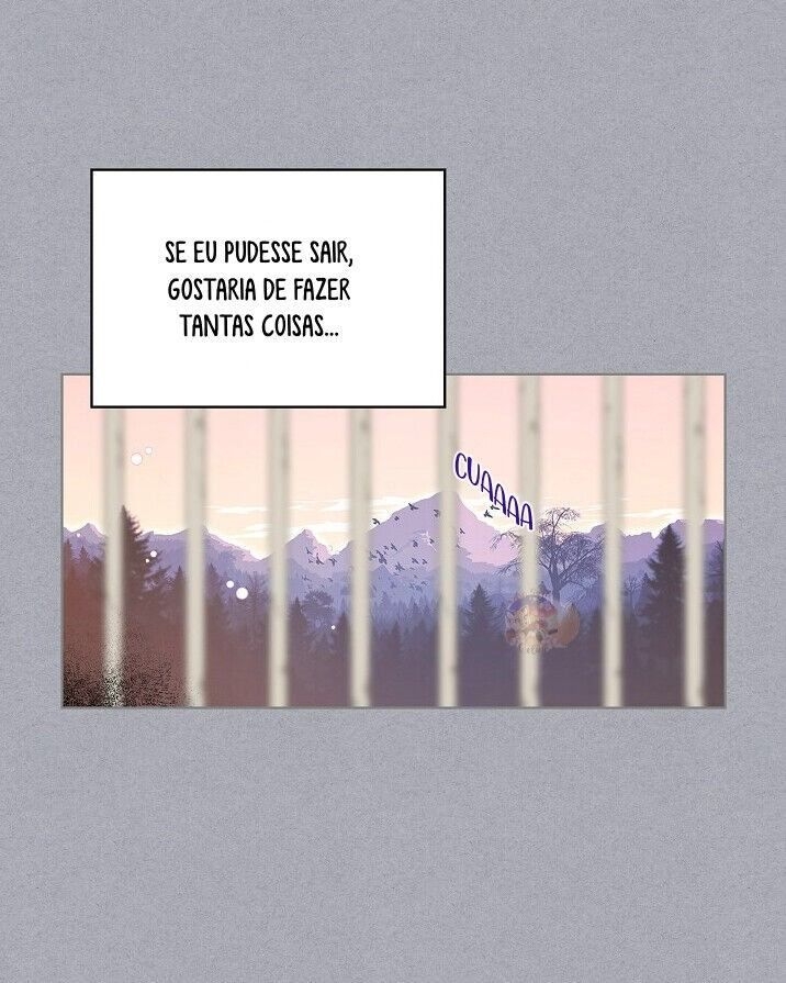 Cap 1 página 28