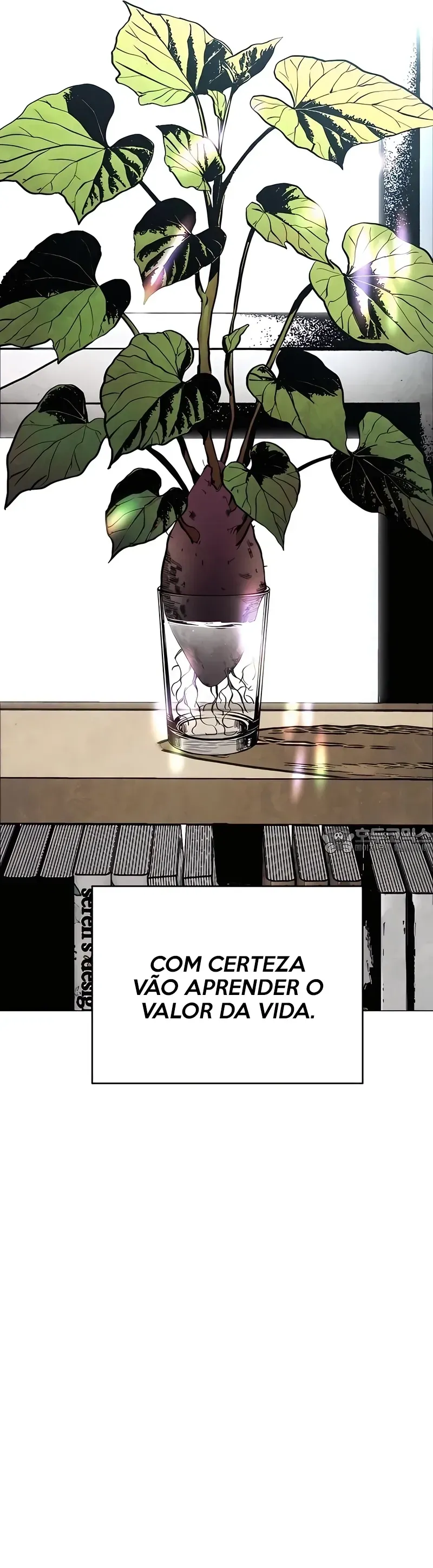 Cap 0 página 43