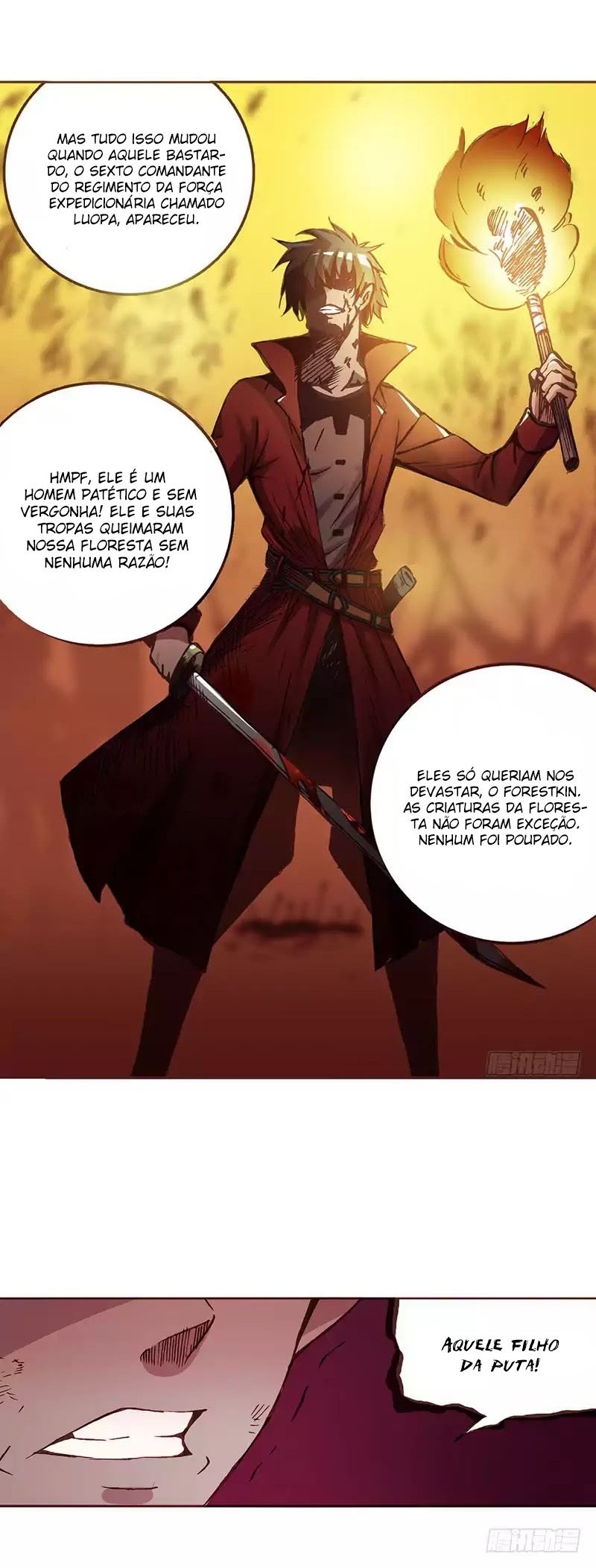 Cap 2.1 página 17