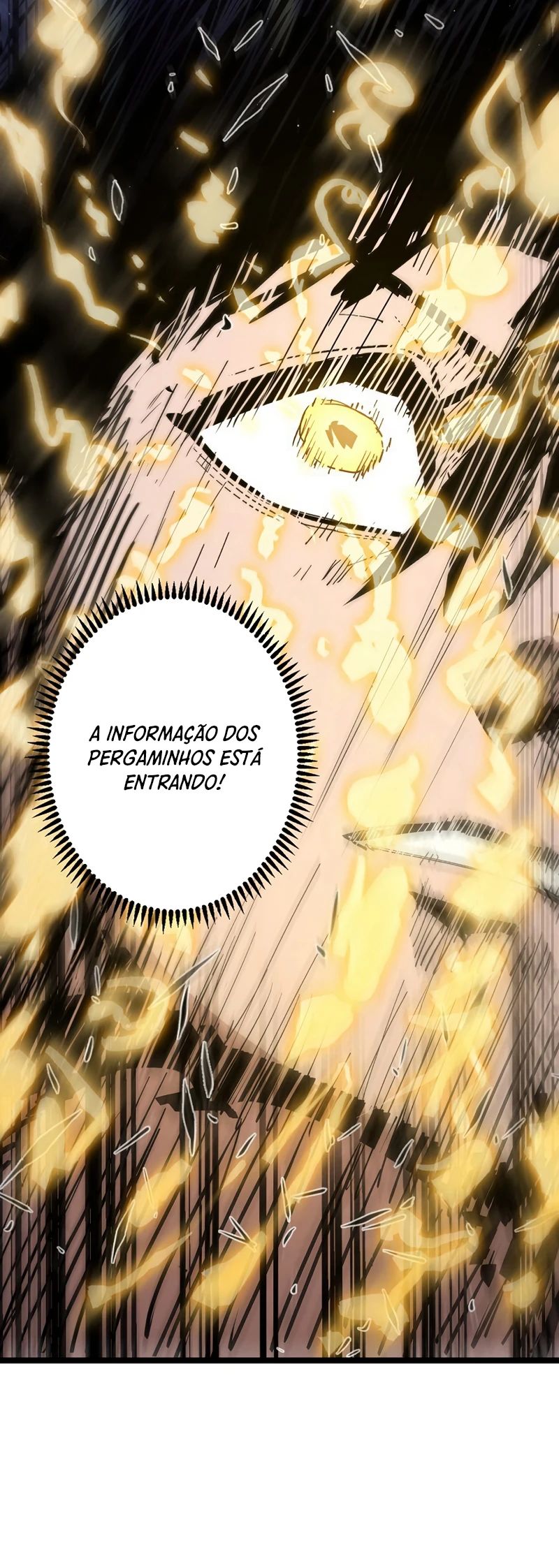 Cap 11 página 14