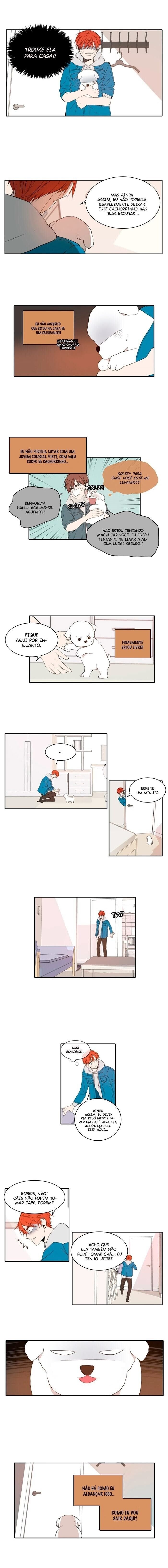 Cap 11 página 4