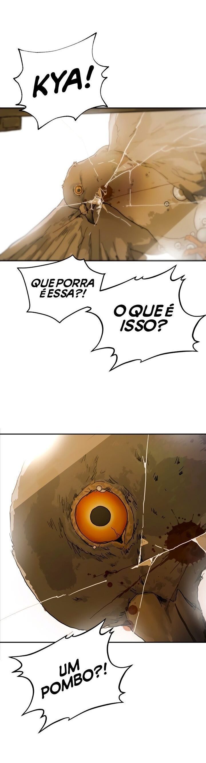 Cap 2 página 50