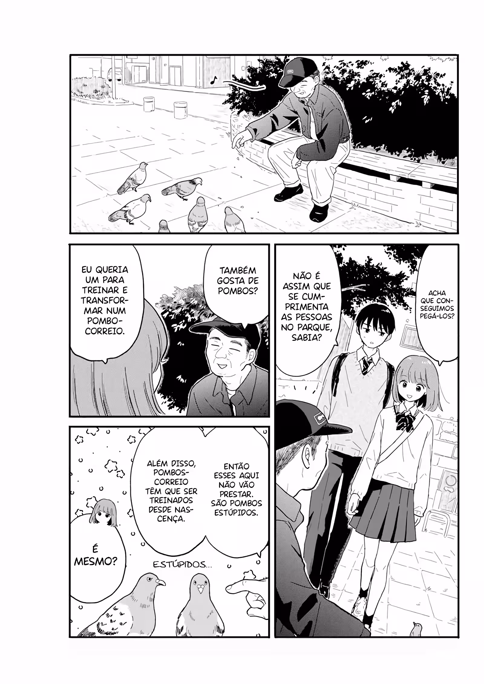 Cap 3 página 13