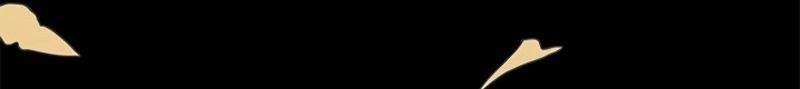 Cap 6 página 42