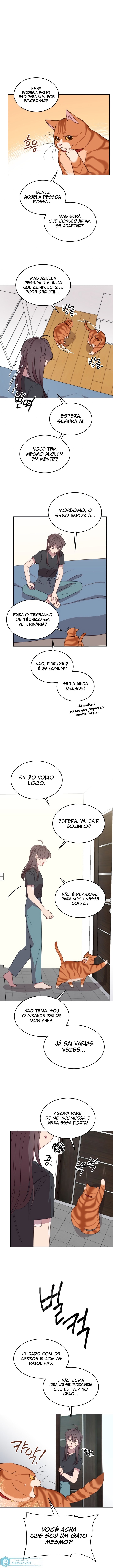 Cap 8 página 7