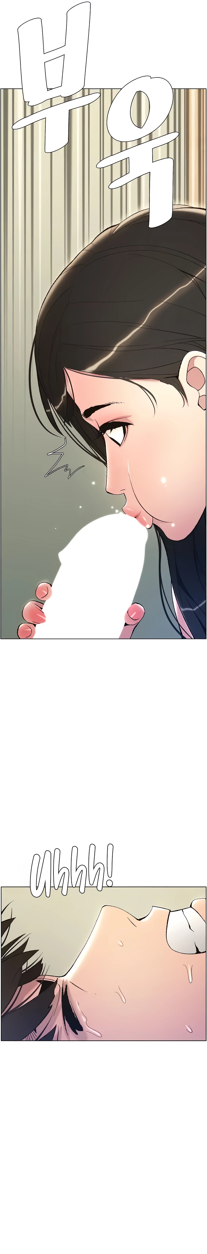 Cap 6 página 26