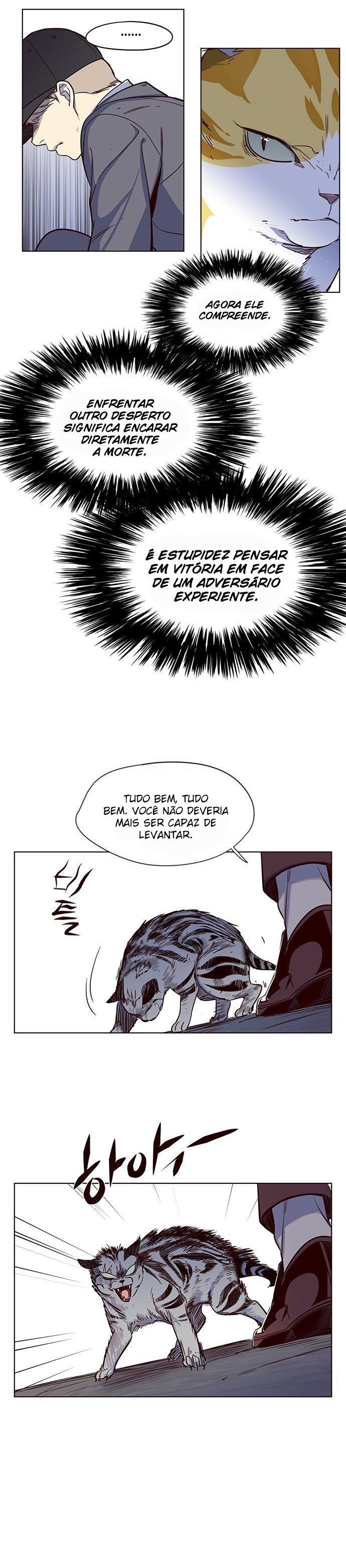 Cap 5 página 15