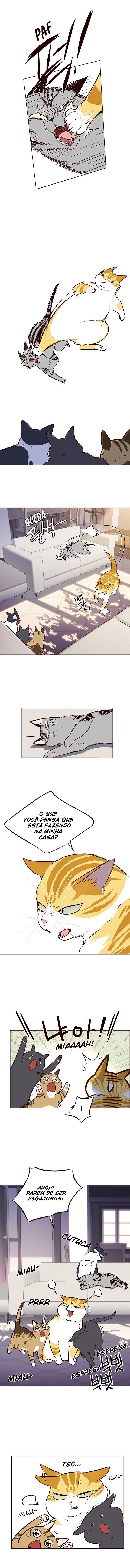 Cap 7 página 11