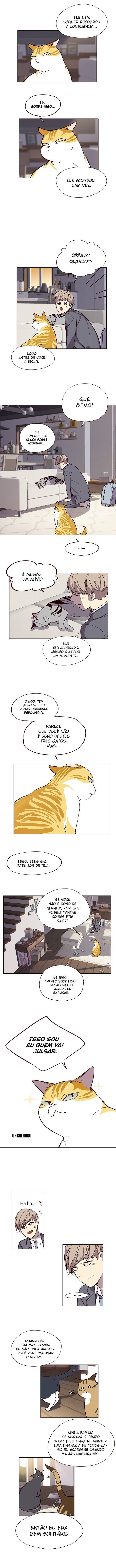 Cap 7 página 13