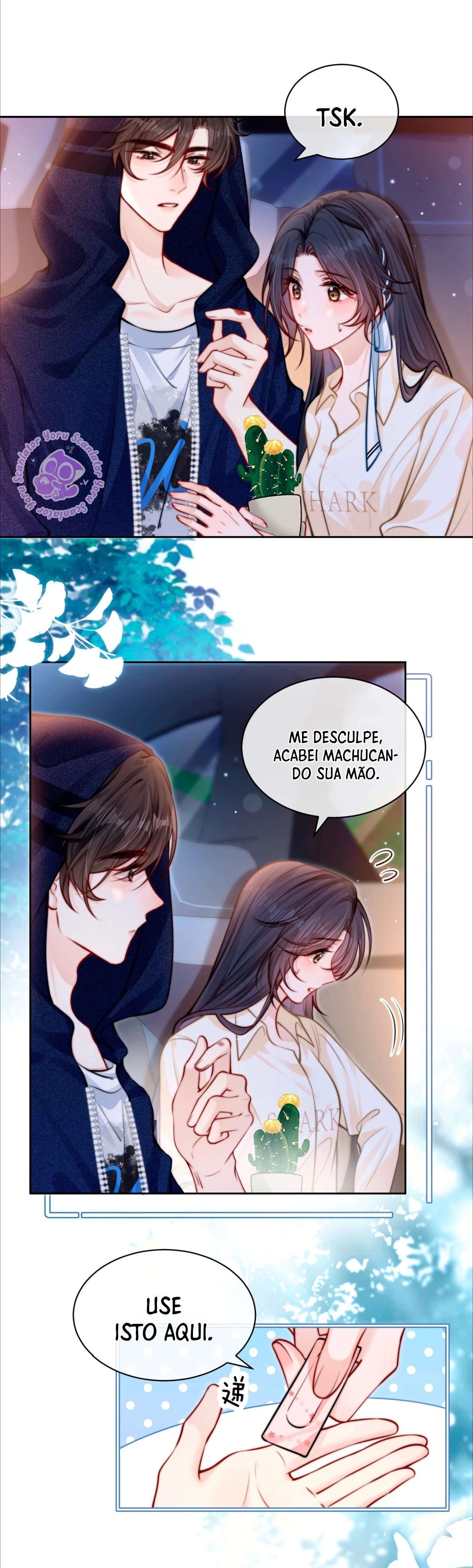 Cap 9 página 4