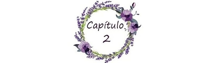 Cap 2 página 11