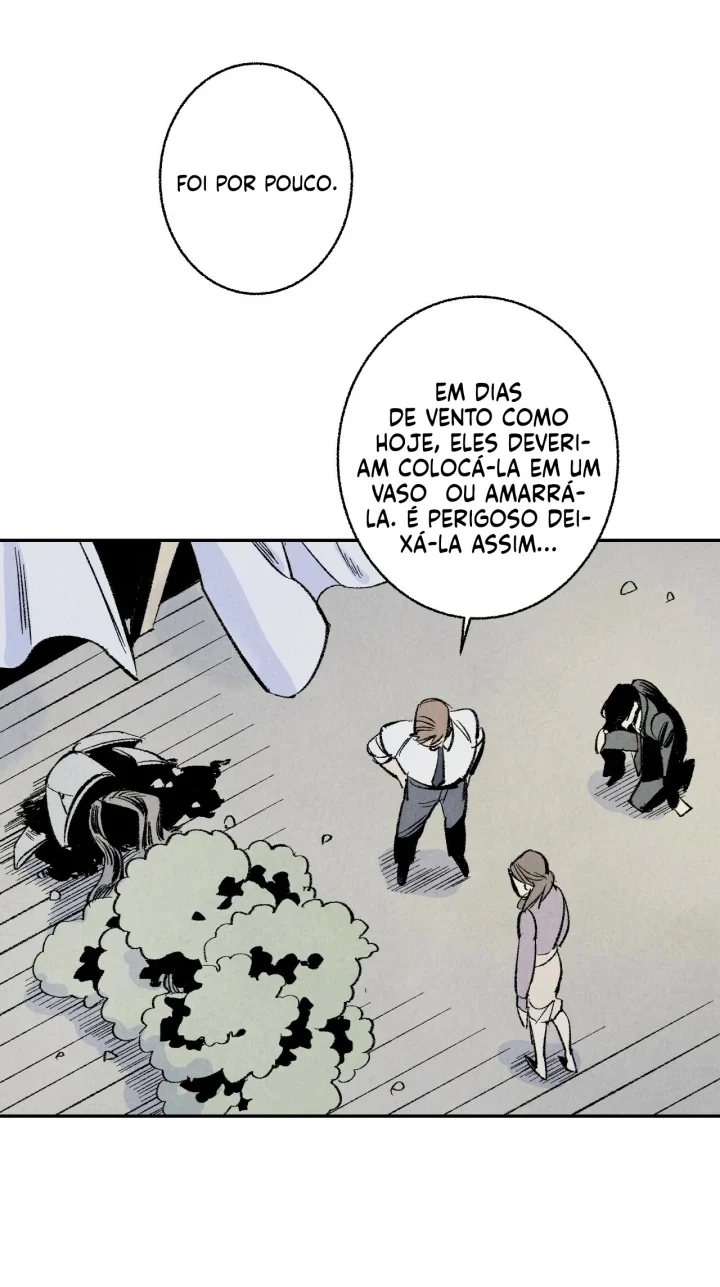 Cap 3 página 45