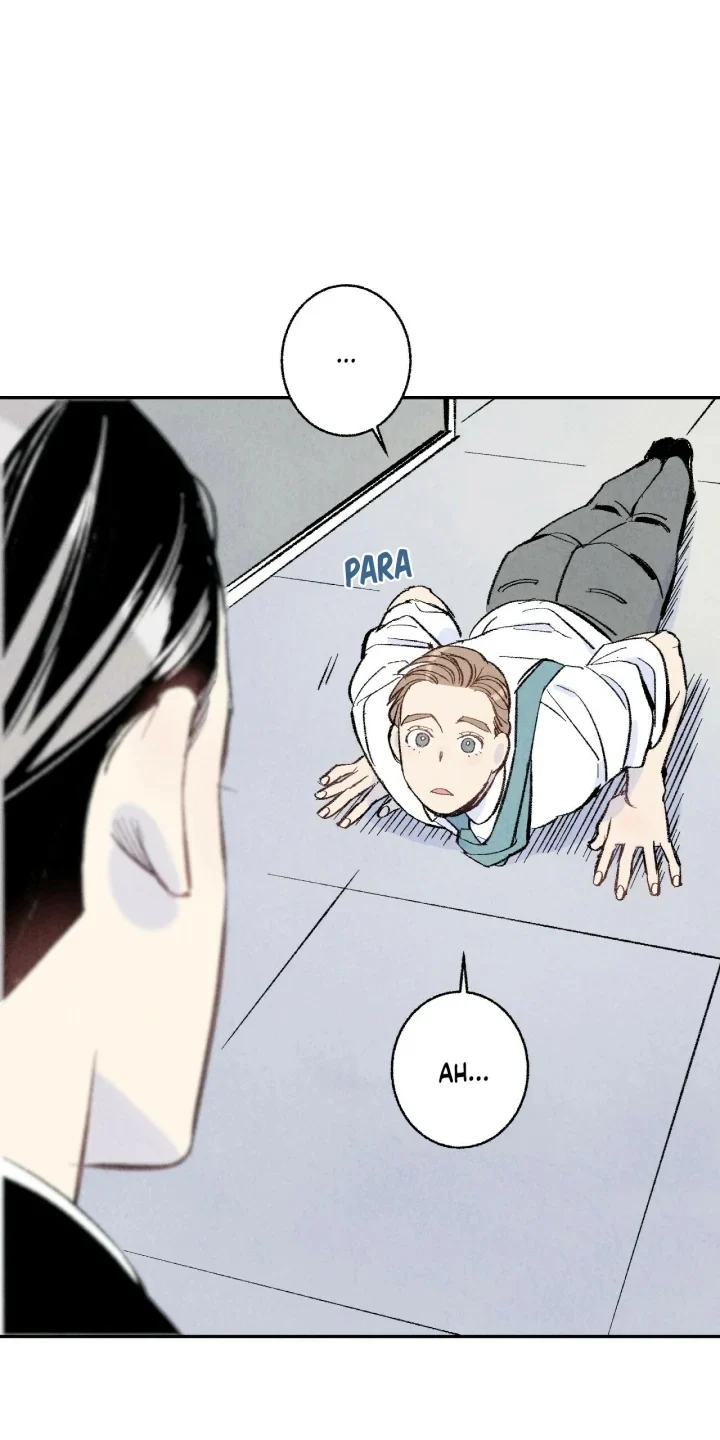 Cap 6 página 17