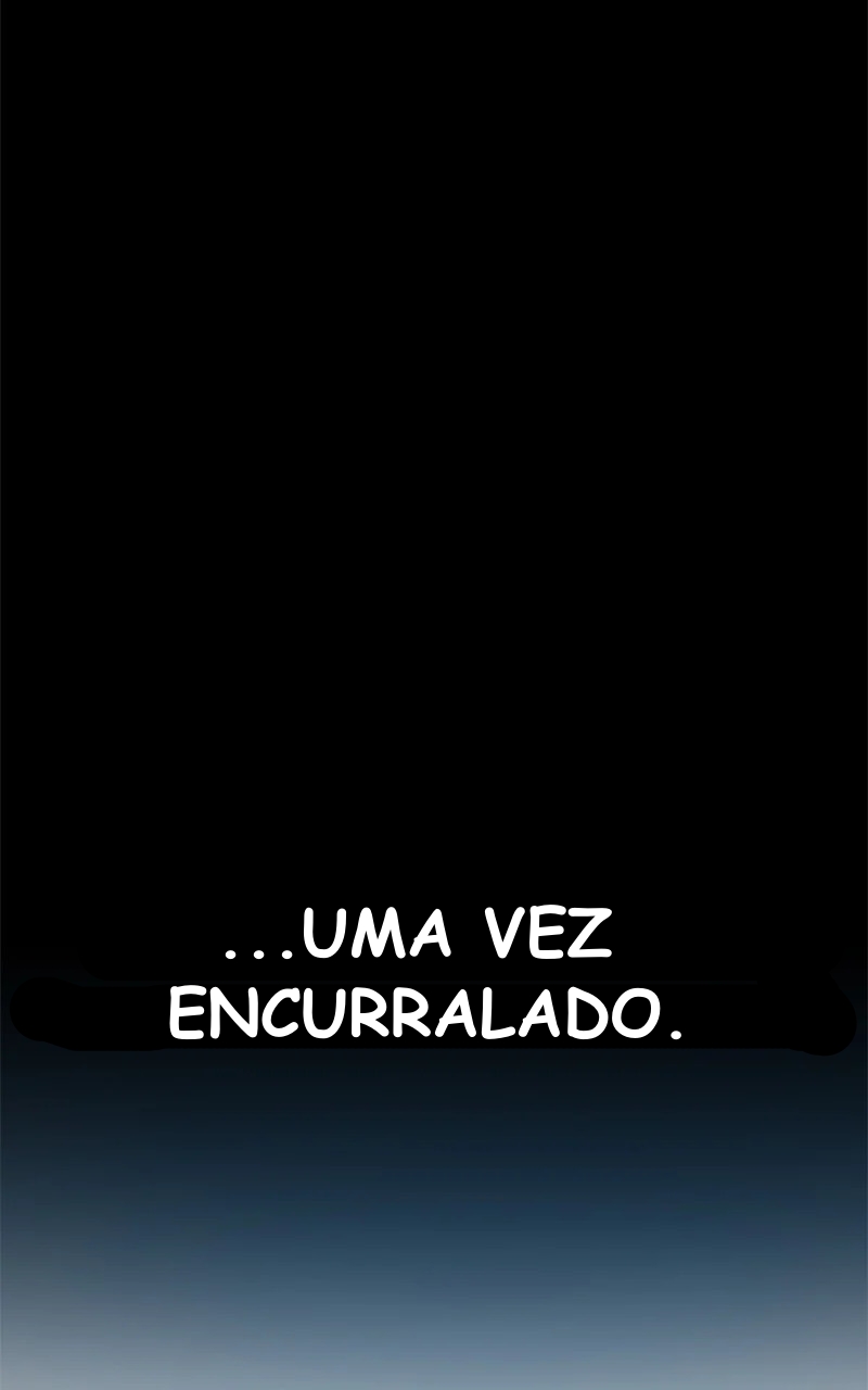 Cap 3 página 14